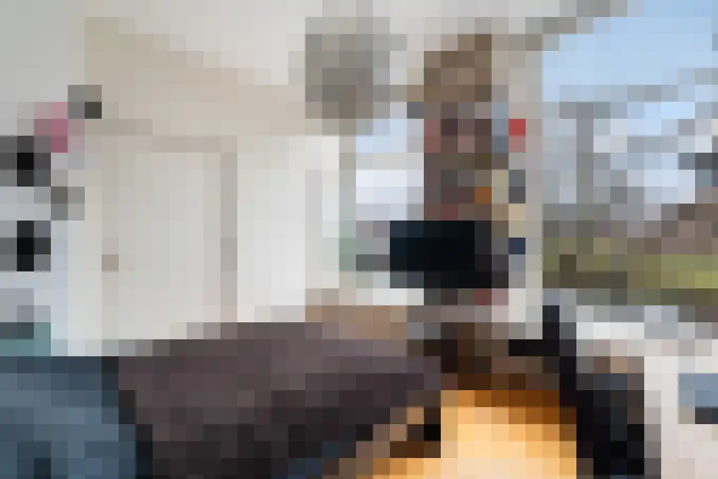Rijnsburgersingel 42 Leiden thumbnail 64