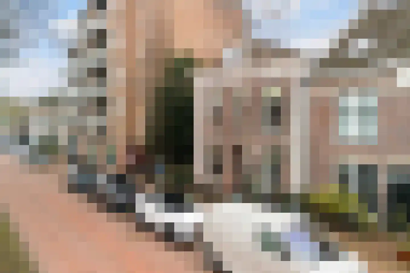 Rijnsburgersingel 42 Leiden thumbnail 7
