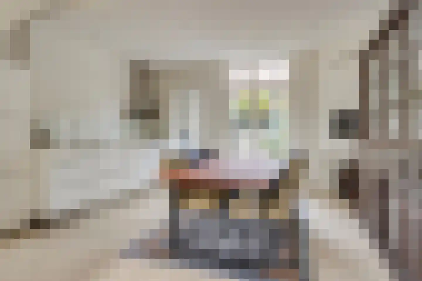 Rijnsburgersingel 44 Leiden thumbnail 19