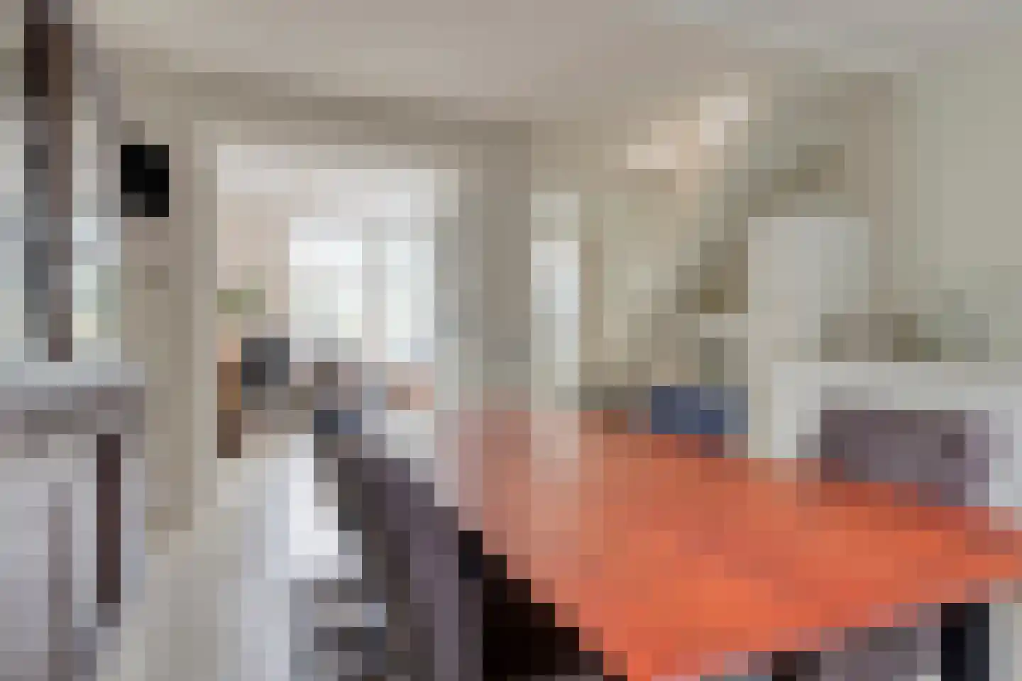 Rijnsburgersingel 44 Leiden thumbnail 23