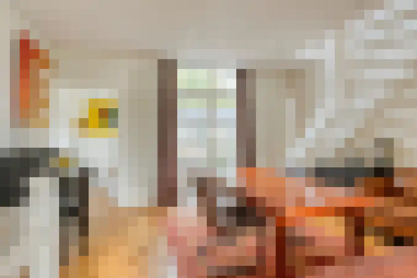 Rijnsburgersingel 44 Leiden thumbnail 36