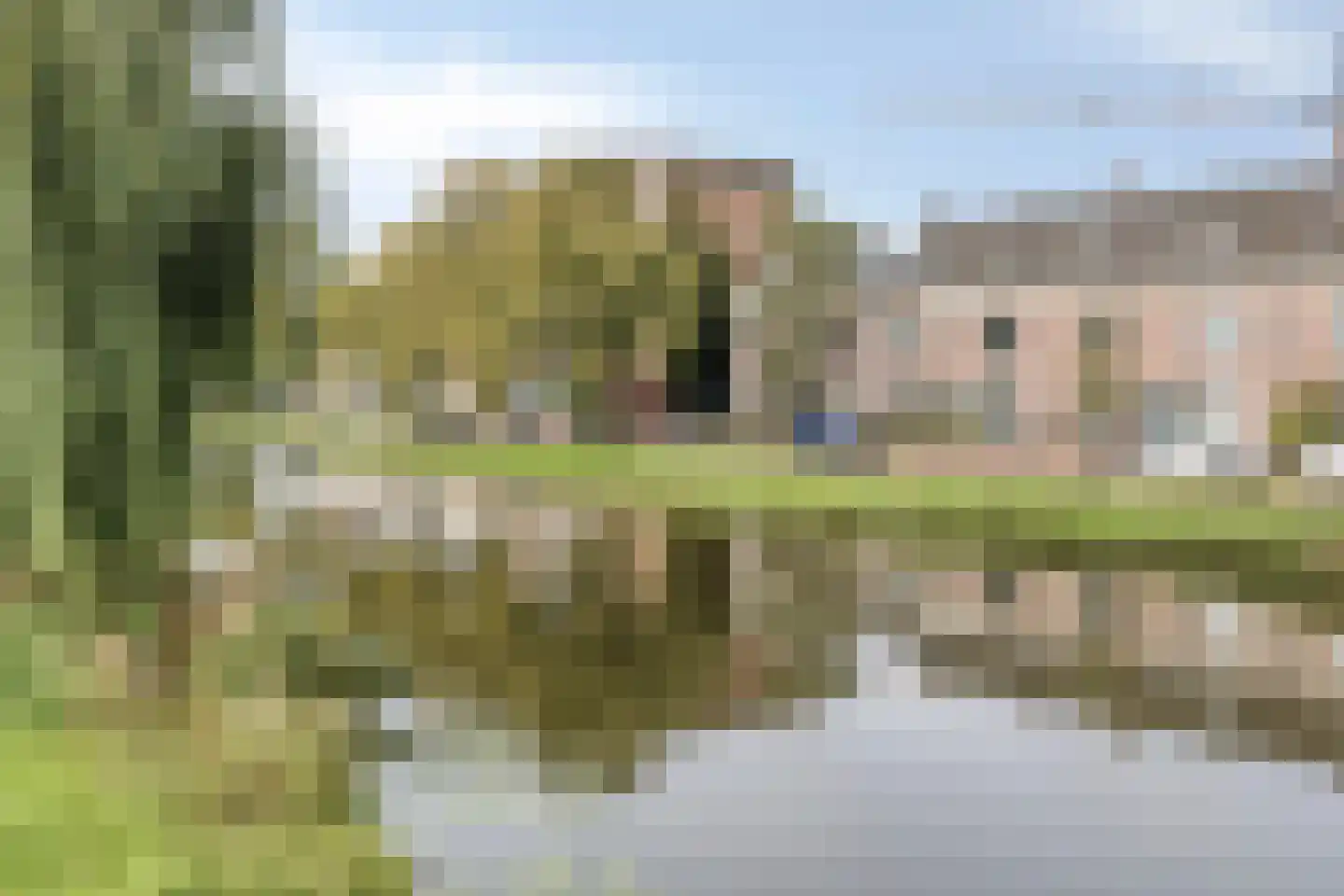 Rijnsburgersingel 44 Leiden thumbnail 4