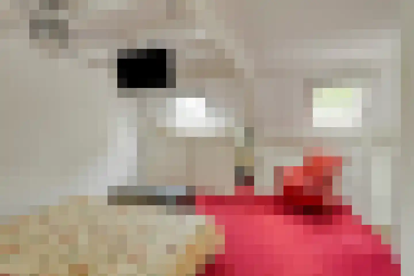 Rijnsburgersingel 44 Leiden thumbnail 44
