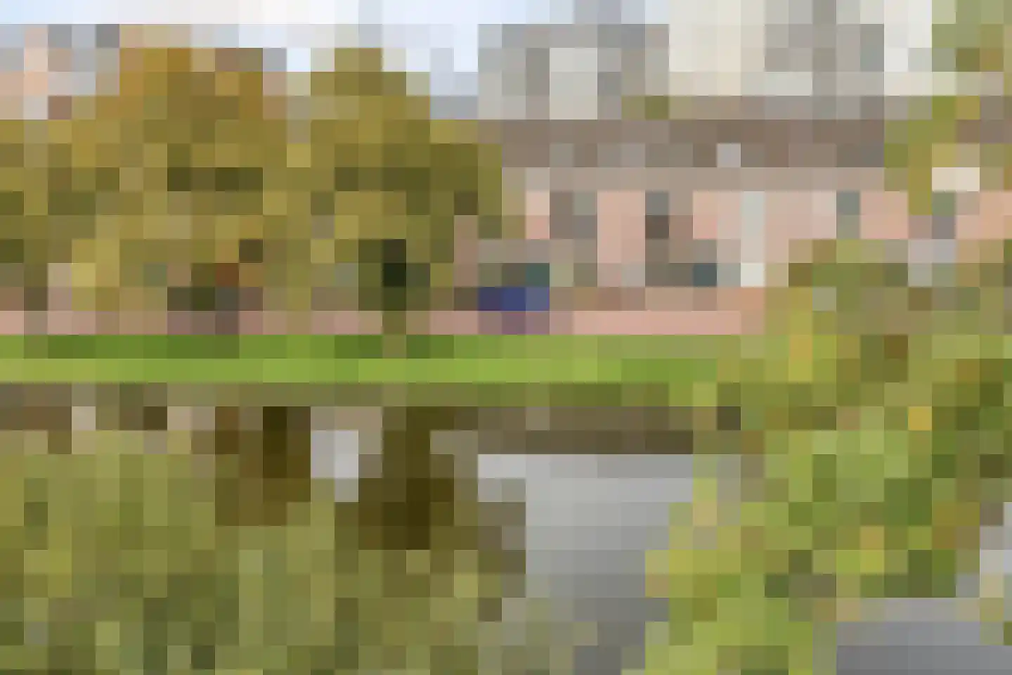 Rijnsburgersingel 44 Leiden thumbnail 59