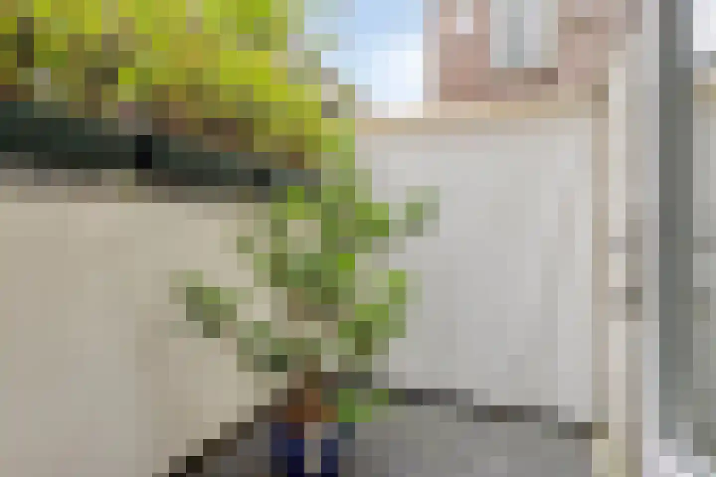 Rijnsburgersingel 44 Leiden thumbnail 6