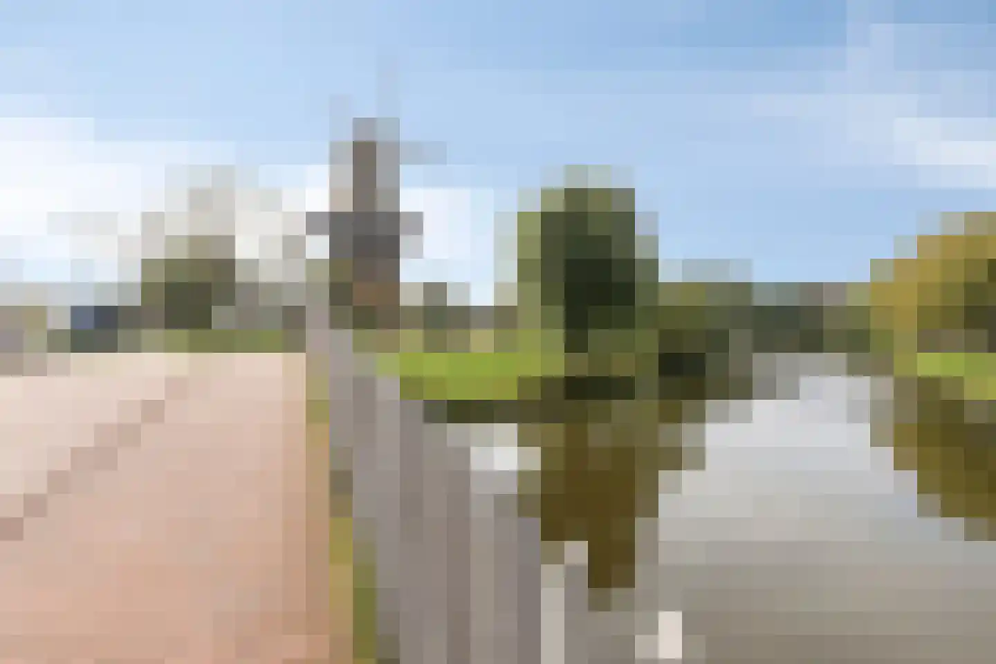 Rijnsburgersingel 44 Leiden thumbnail 61