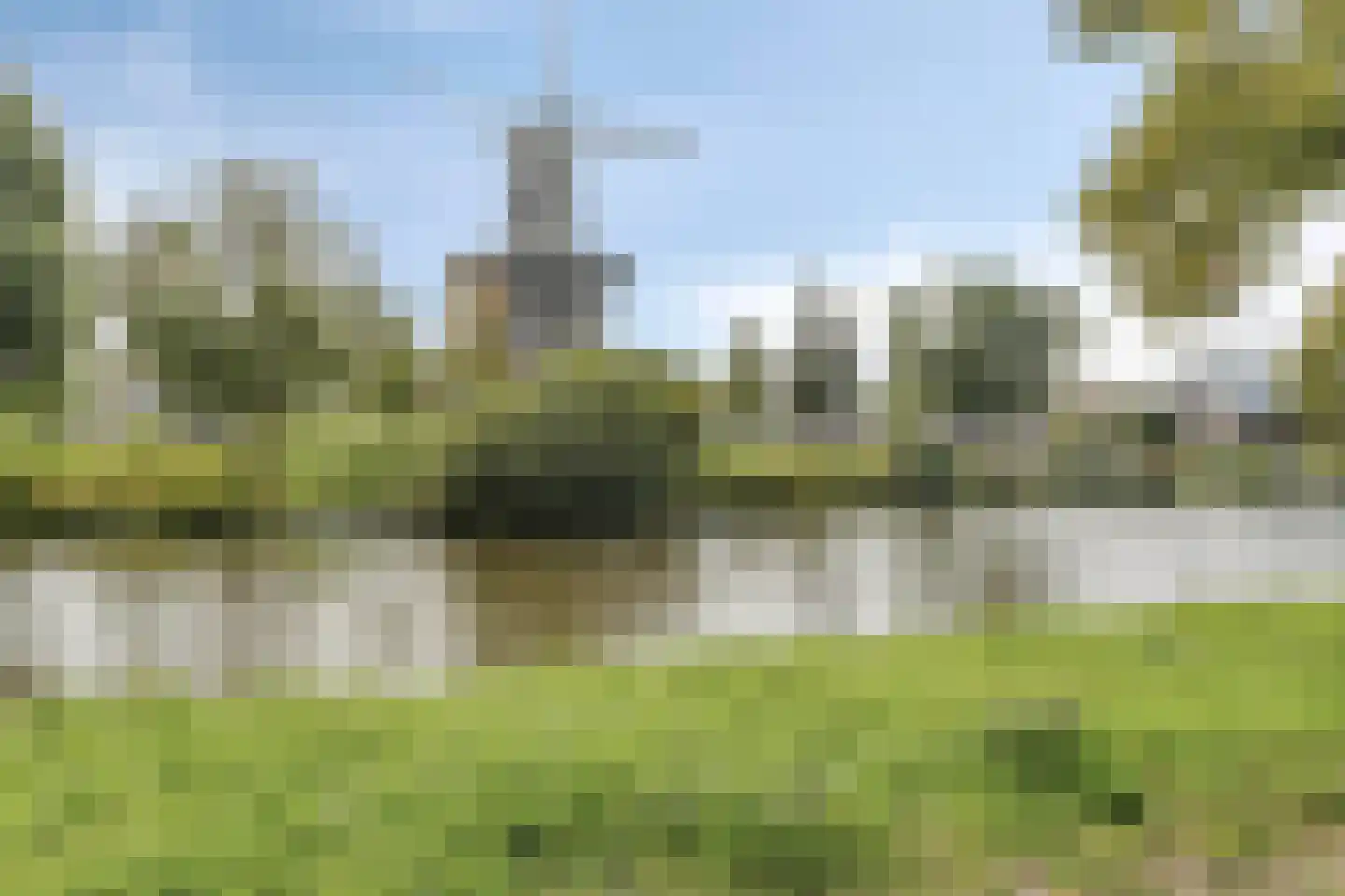 Rijnsburgersingel 44 Leiden thumbnail 8