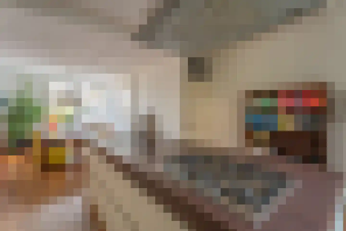 Rijnsburgersingel 46 Leiden thumbnail 10