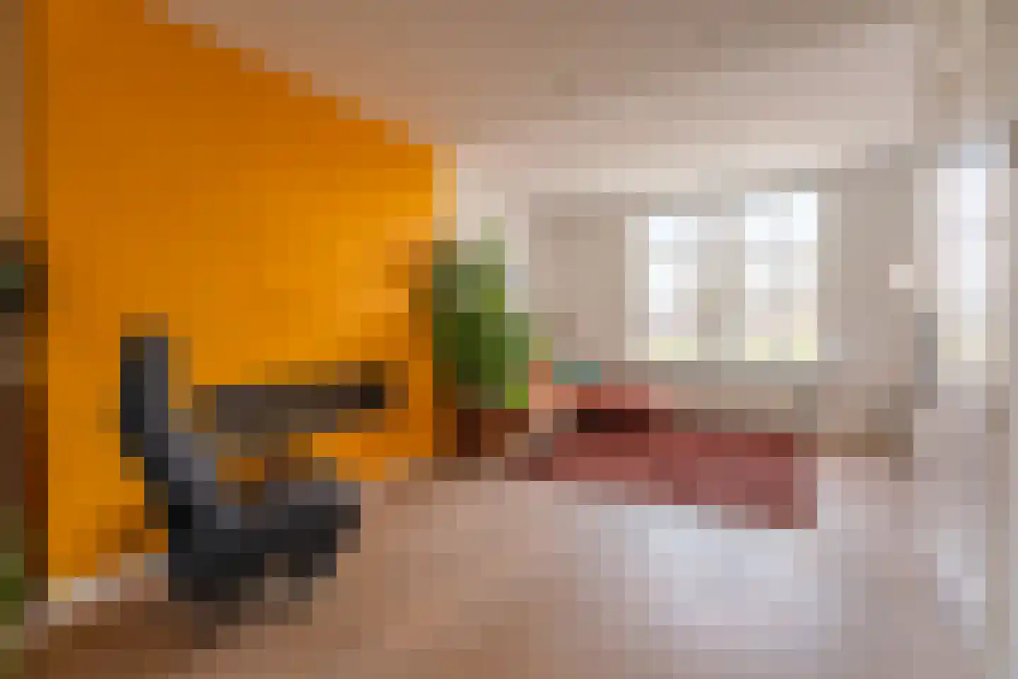Rijnsburgersingel 46 Leiden thumbnail 17