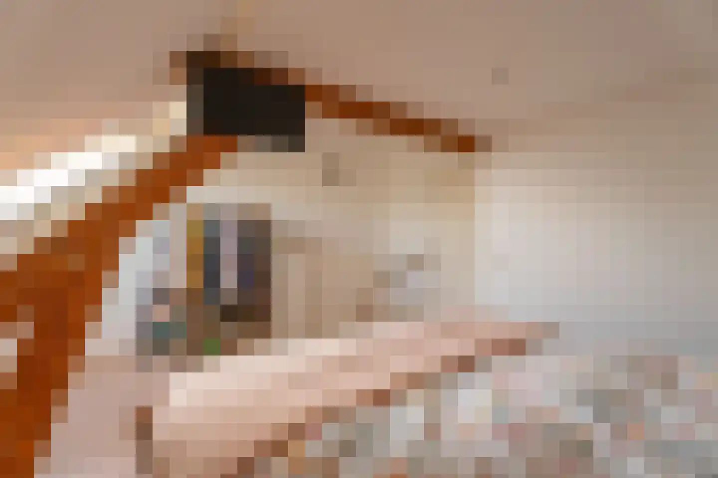 Rijnsburgersingel 46 Leiden thumbnail 27