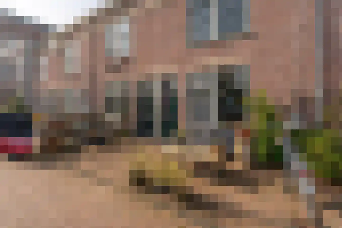 Rijnsburgersingel 46 Leiden foto 3