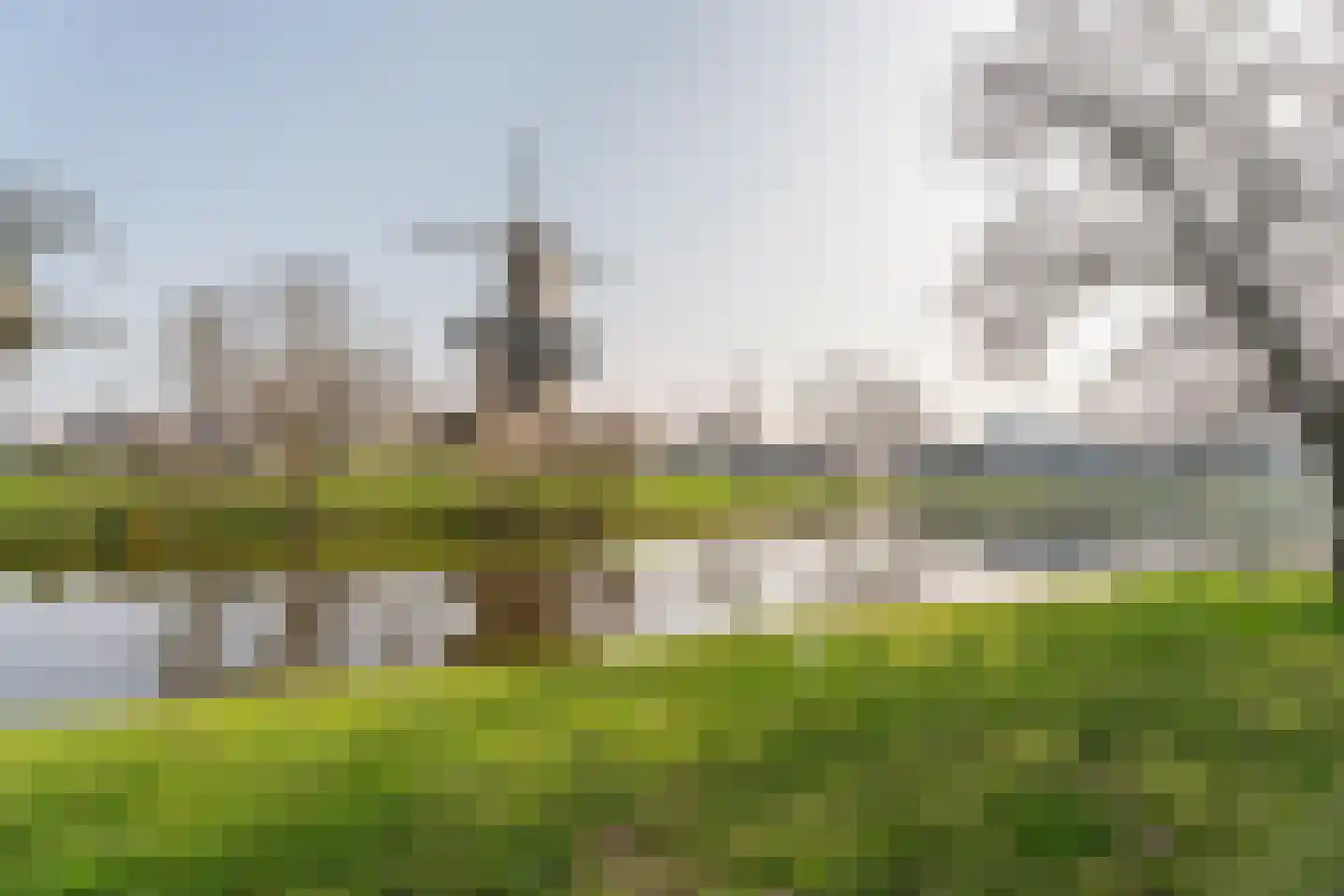 Rijnsburgersingel 46 Leiden thumbnail 4