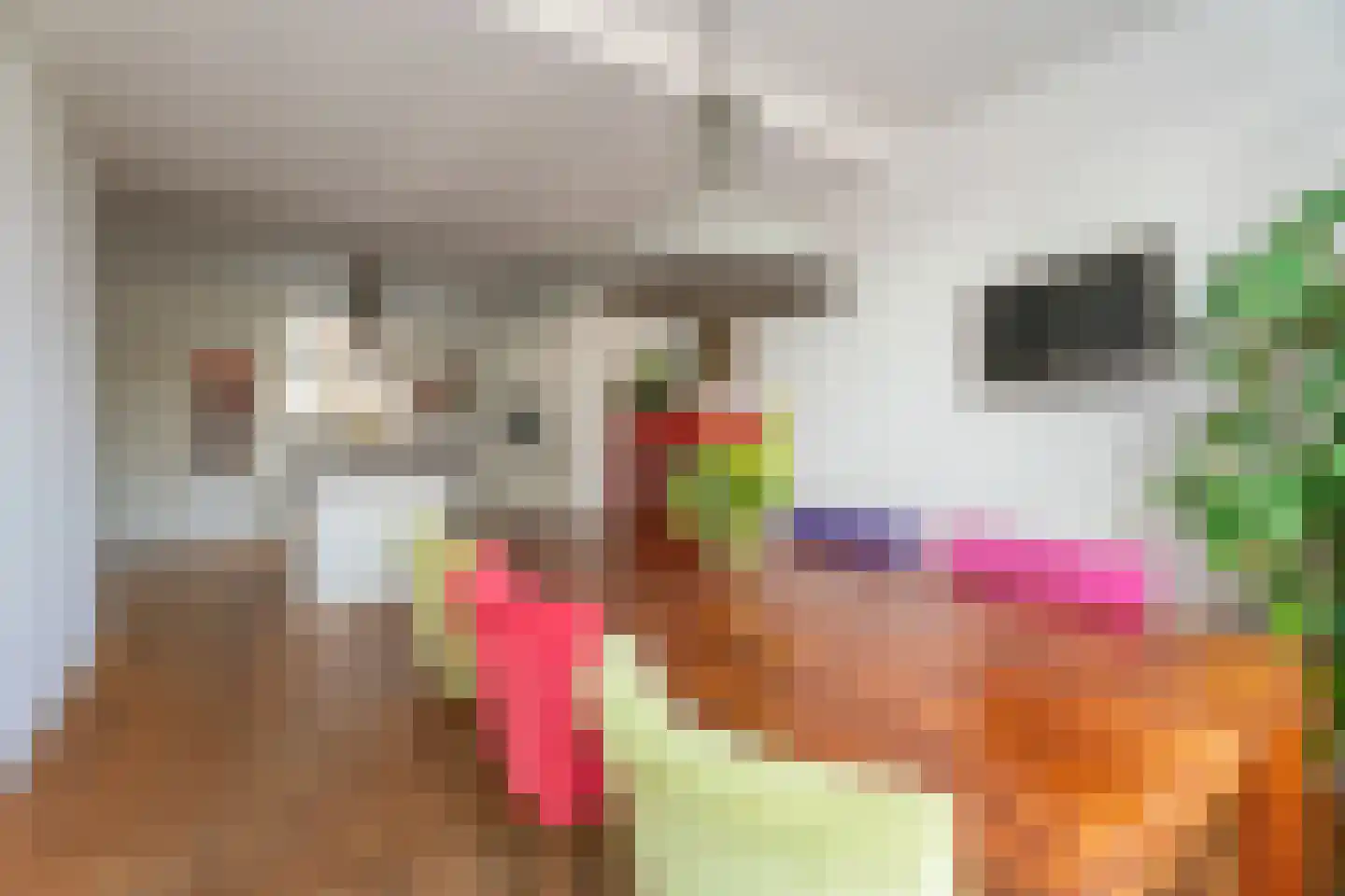 Rijnsburgersingel 46 Leiden thumbnail 6