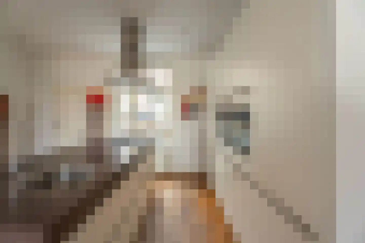 Rijnsburgersingel 46 Leiden thumbnail 7