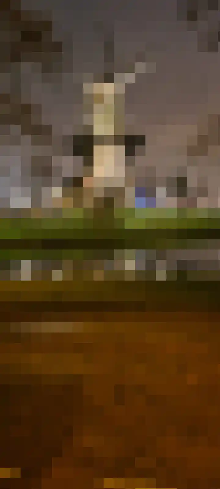 Rijnsburgersingel 50 Leiden thumbnail 45