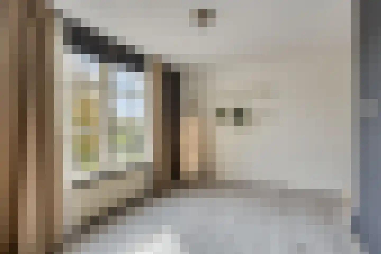 Rijnsburgersingel 52 Leiden thumbnail 29