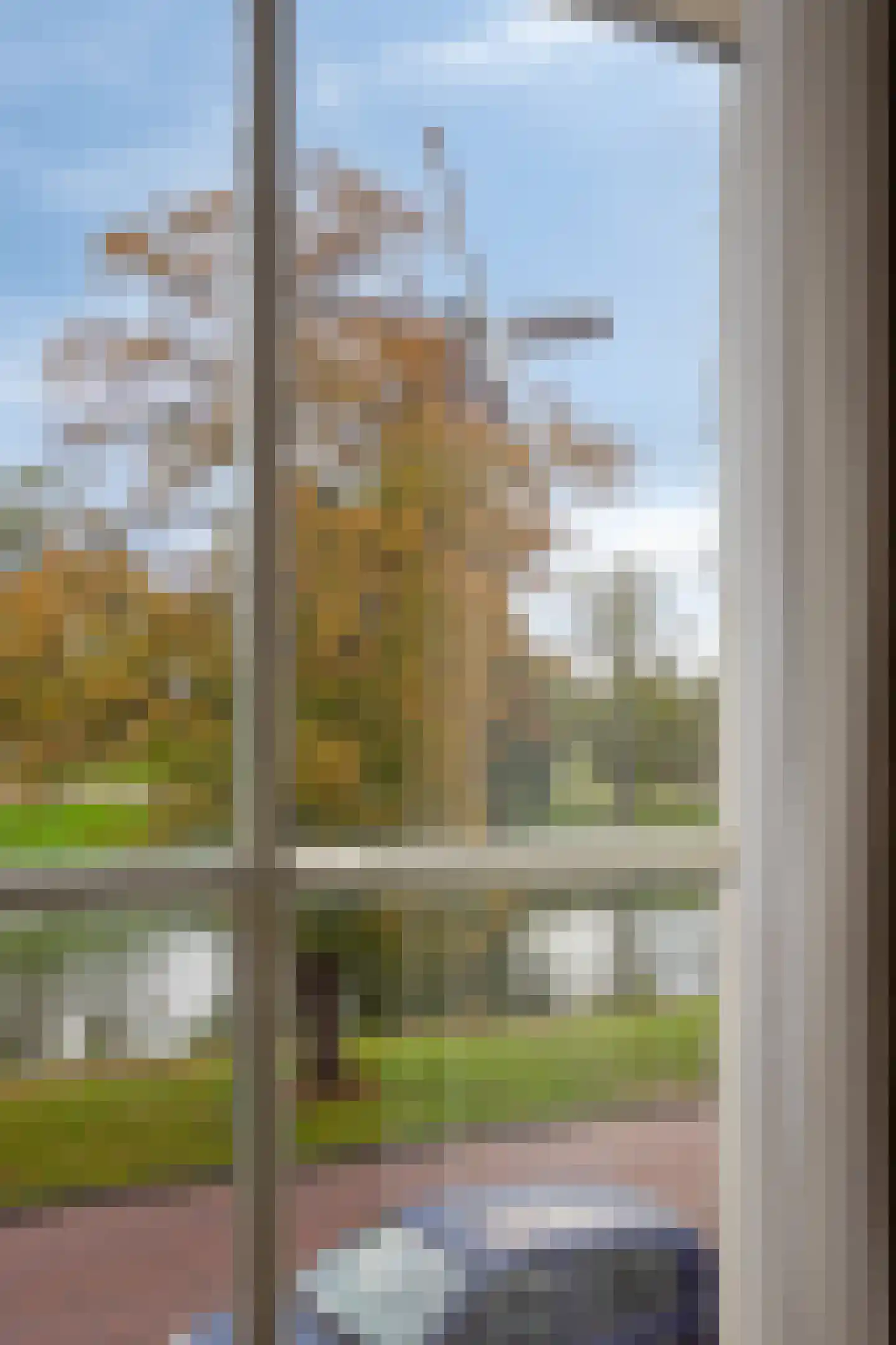 Rijnsburgersingel 52 Leiden thumbnail 30