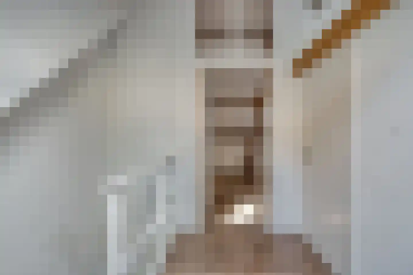 Rijnsburgersingel 52 Leiden thumbnail 32