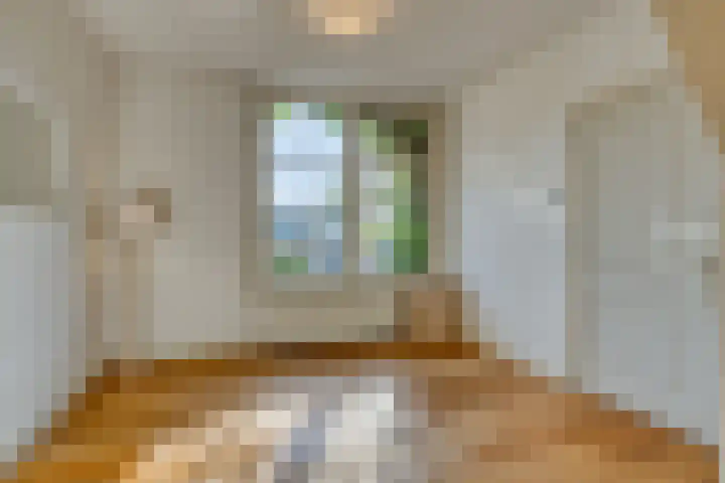 Rijnsburgersingel 52 Leiden thumbnail 9
