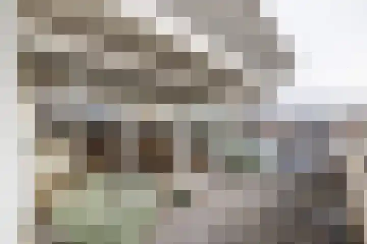 Rijnsburgersingel 58 E Leiden thumbnail 34