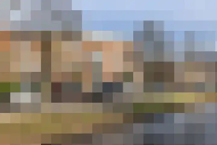 Rijnsburgersingel 58 E Leiden thumbnail 5