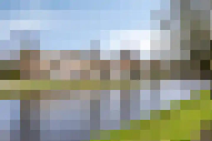Rijnsburgersingel 64 Leiden thumbnail 10
