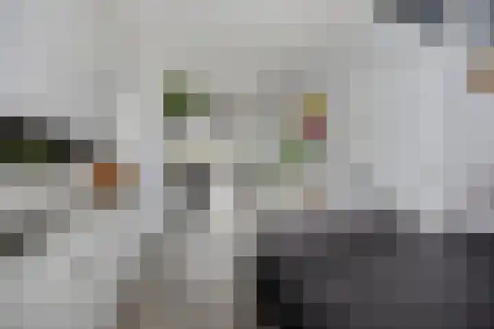 Rijnsburgersingel 64 Leiden thumbnail 12