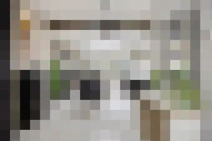 Rijnsburgersingel 64 Leiden thumbnail 13