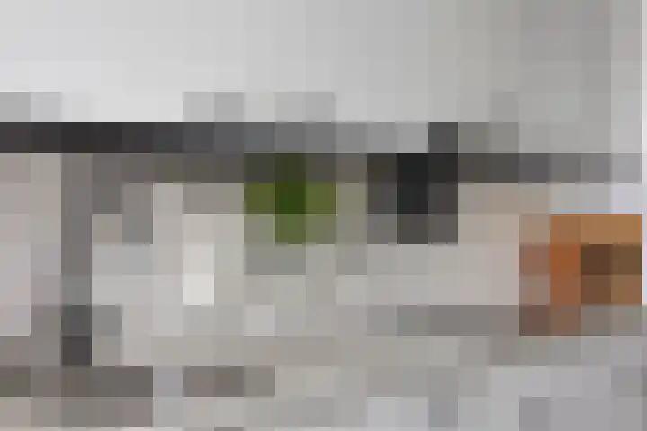 Rijnsburgersingel 64 Leiden thumbnail 15