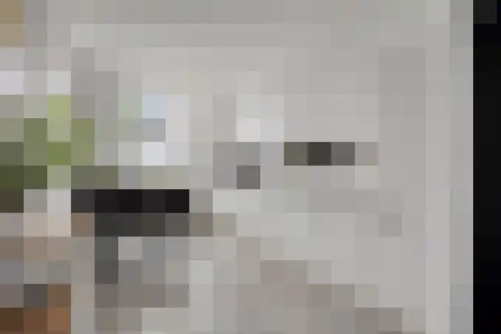 Rijnsburgersingel 64 Leiden thumbnail 16