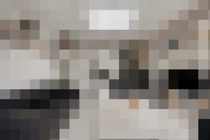 Rijnsburgersingel 64 Leiden thumbnail 17