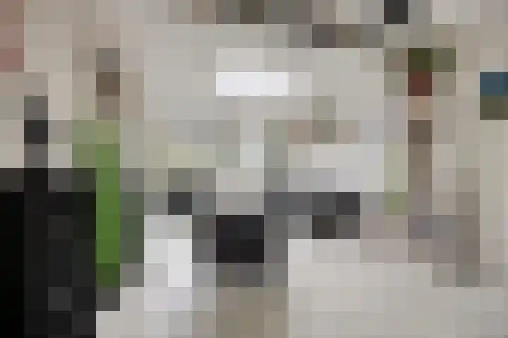 Rijnsburgersingel 64 Leiden thumbnail 18