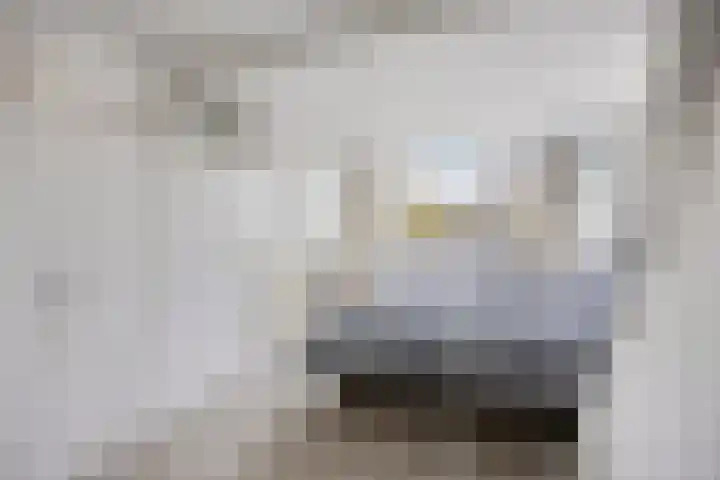 Rijnsburgersingel 64 Leiden thumbnail 23