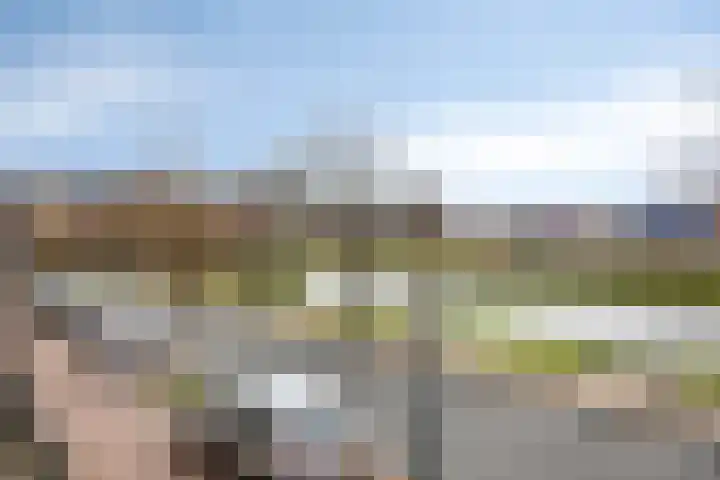 Rijnsburgersingel 64 Leiden thumbnail 29