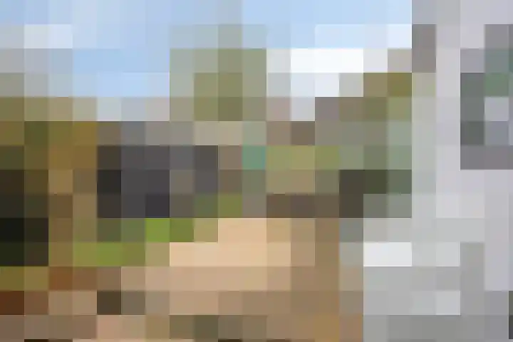 Rijnsburgersingel 64 Leiden thumbnail 32