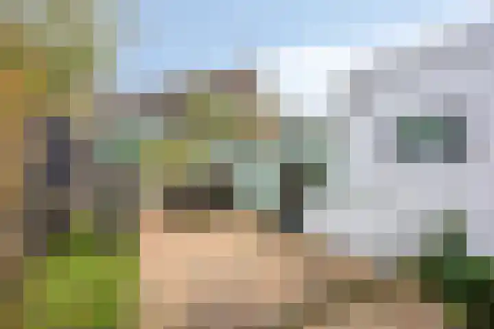 Rijnsburgersingel 64 Leiden thumbnail 33