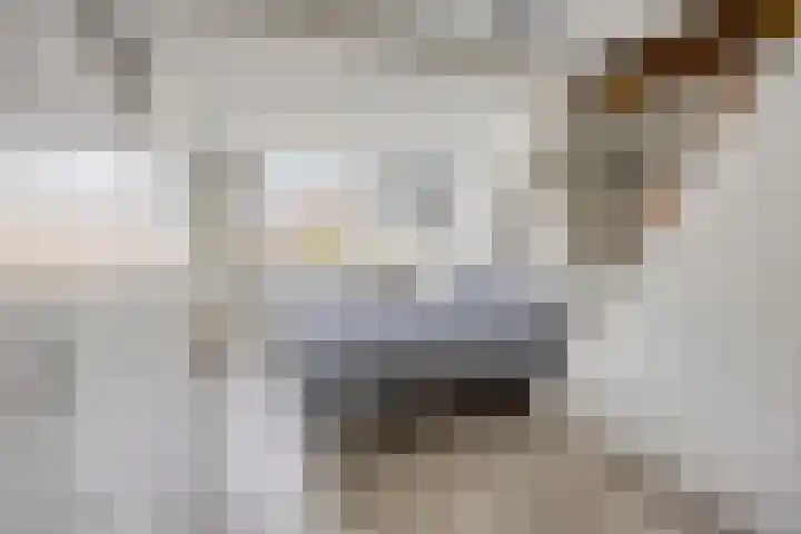 Rijnsburgersingel 64 Leiden thumbnail 4