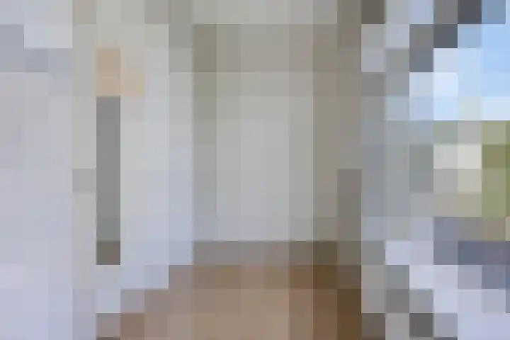Rijnsburgersingel 67 Leiden thumbnail 21