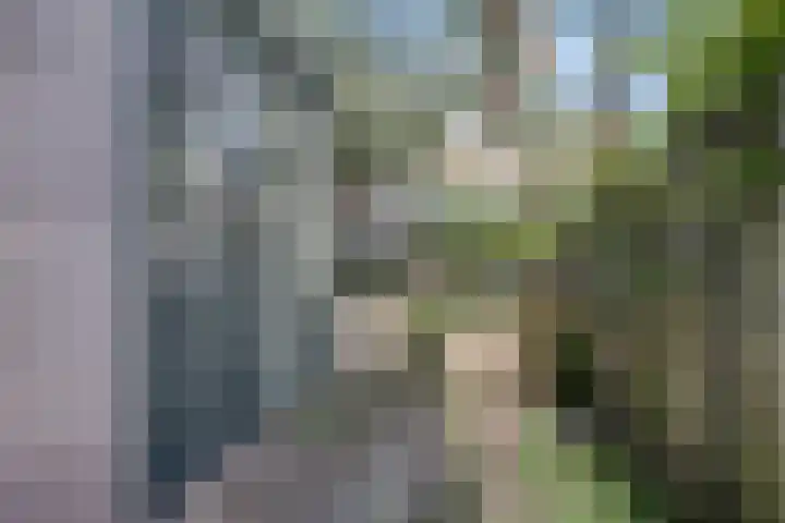 Rijnsburgersingel 67 Leiden thumbnail 25