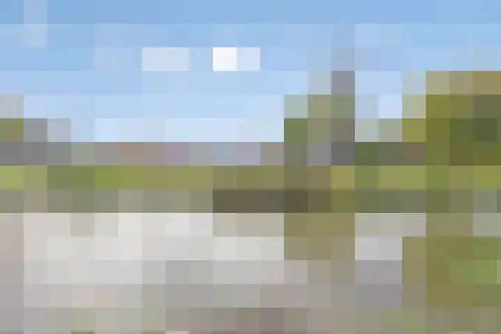 Rijnsburgersingel 67 Leiden thumbnail 32
