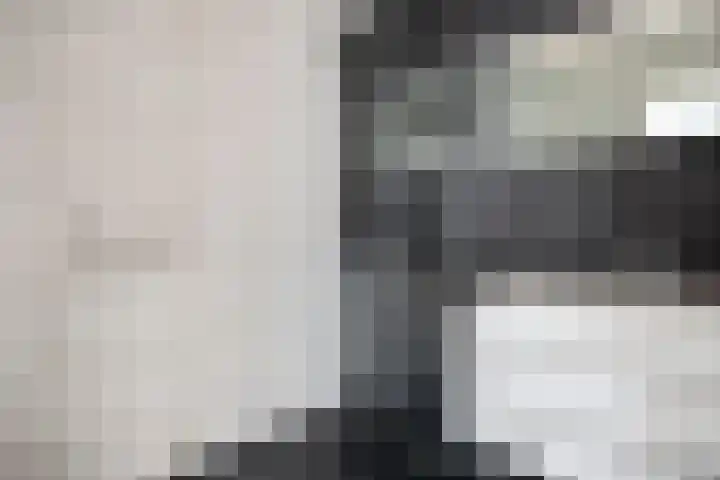 Rijnsburgersingel 67 Leiden thumbnail 4