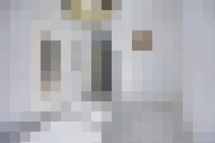Rijnsburgersingel 67 Leiden thumbnail 8