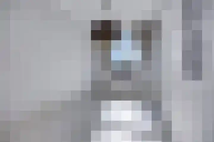 Rijnsburgersingel 67 Leiden thumbnail 9
