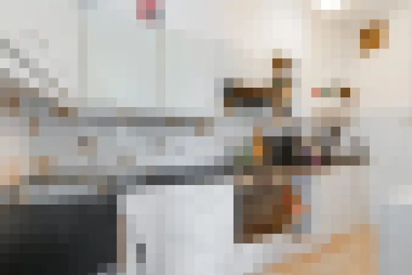 Rijnsburgersingel 84 Leiden thumbnail 17