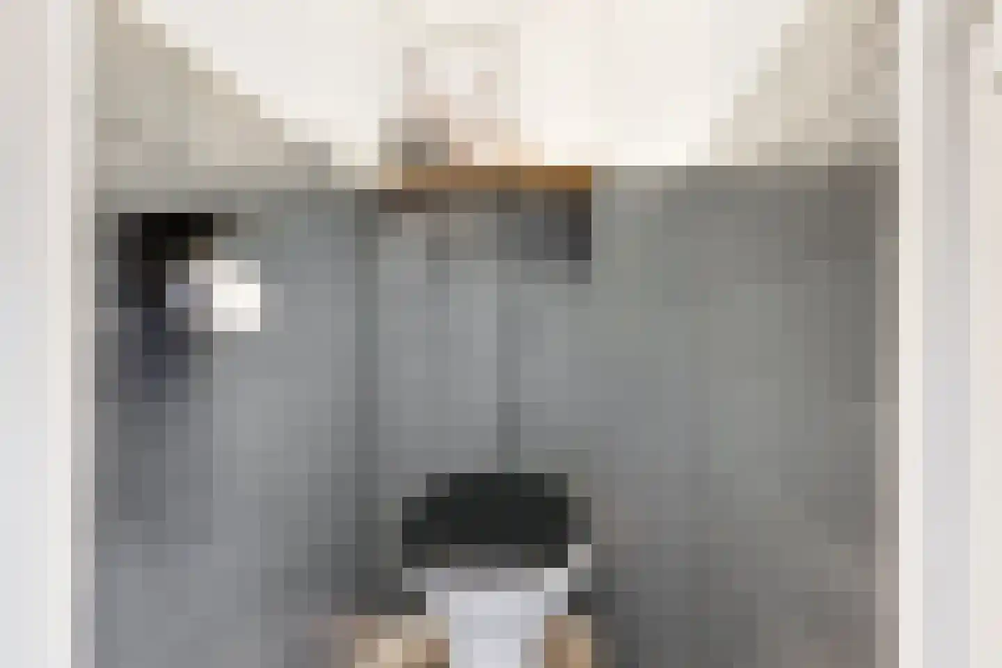 Rijnsburgersingel 84 Leiden thumbnail 6