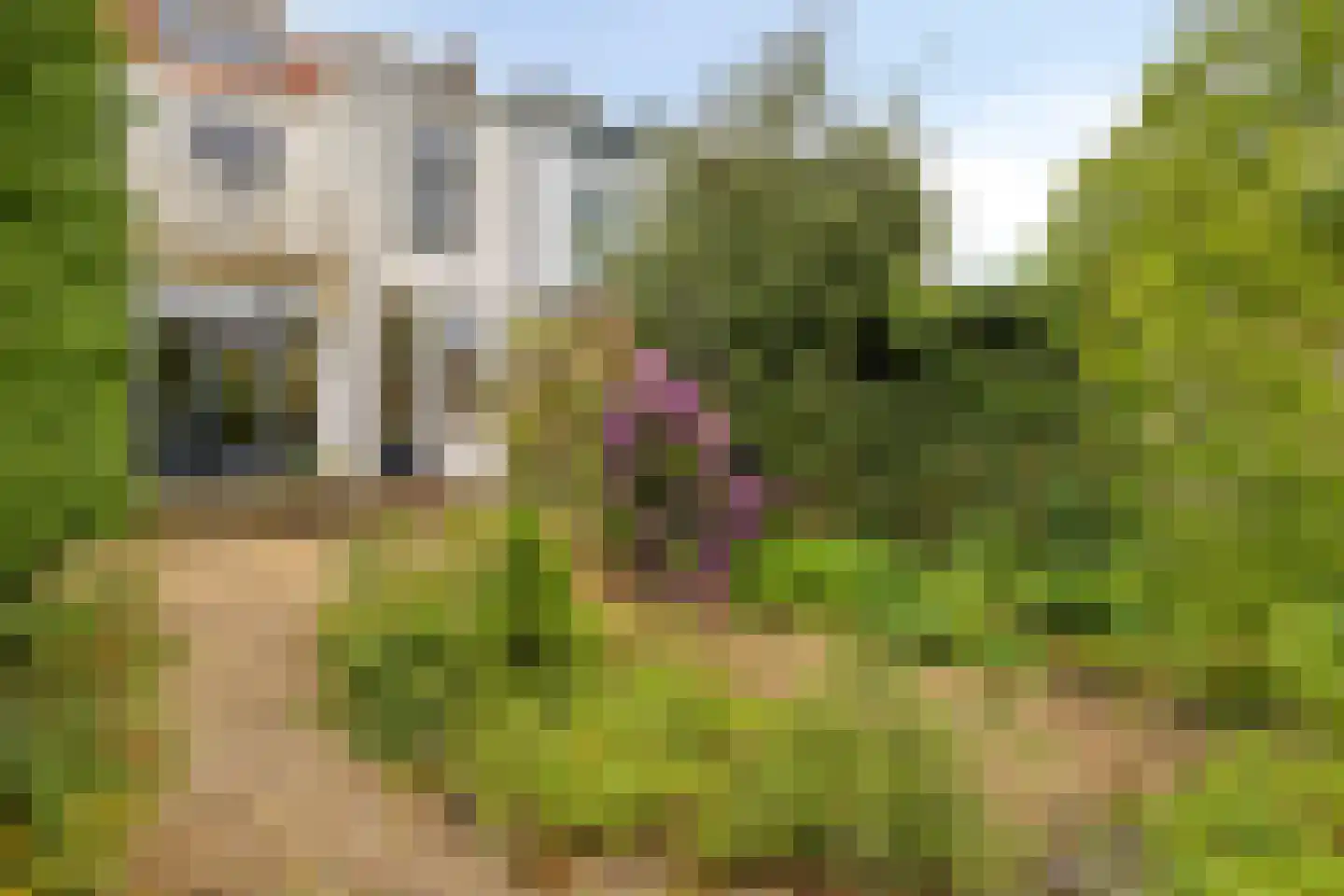 Rijnsburgerweg 138 Leiden thumbnail 37
