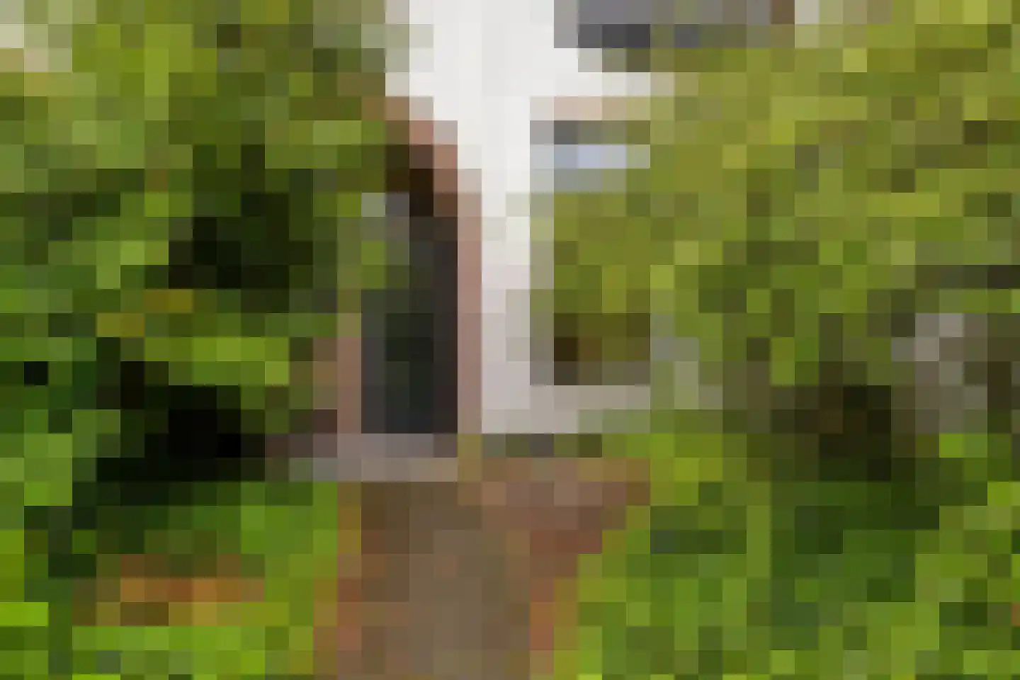 Rijnsburgerweg 138 Leiden thumbnail 4