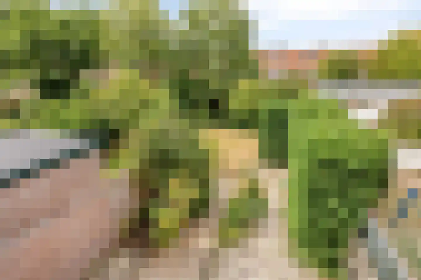 Rijnsburgerweg 138 Leiden thumbnail 41