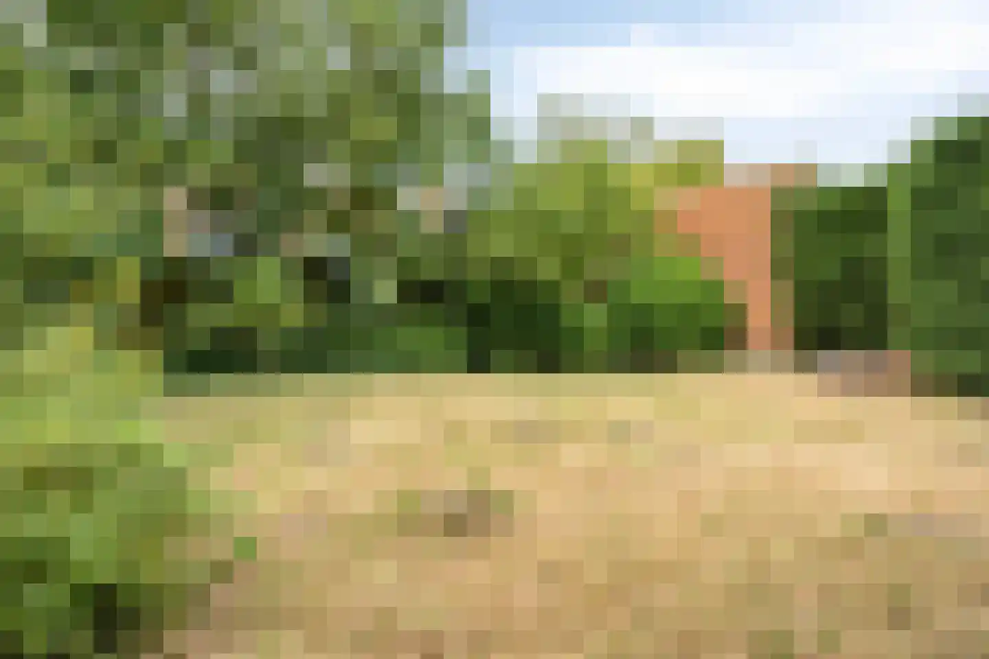 Rijnsburgerweg 138 Leiden thumbnail 52