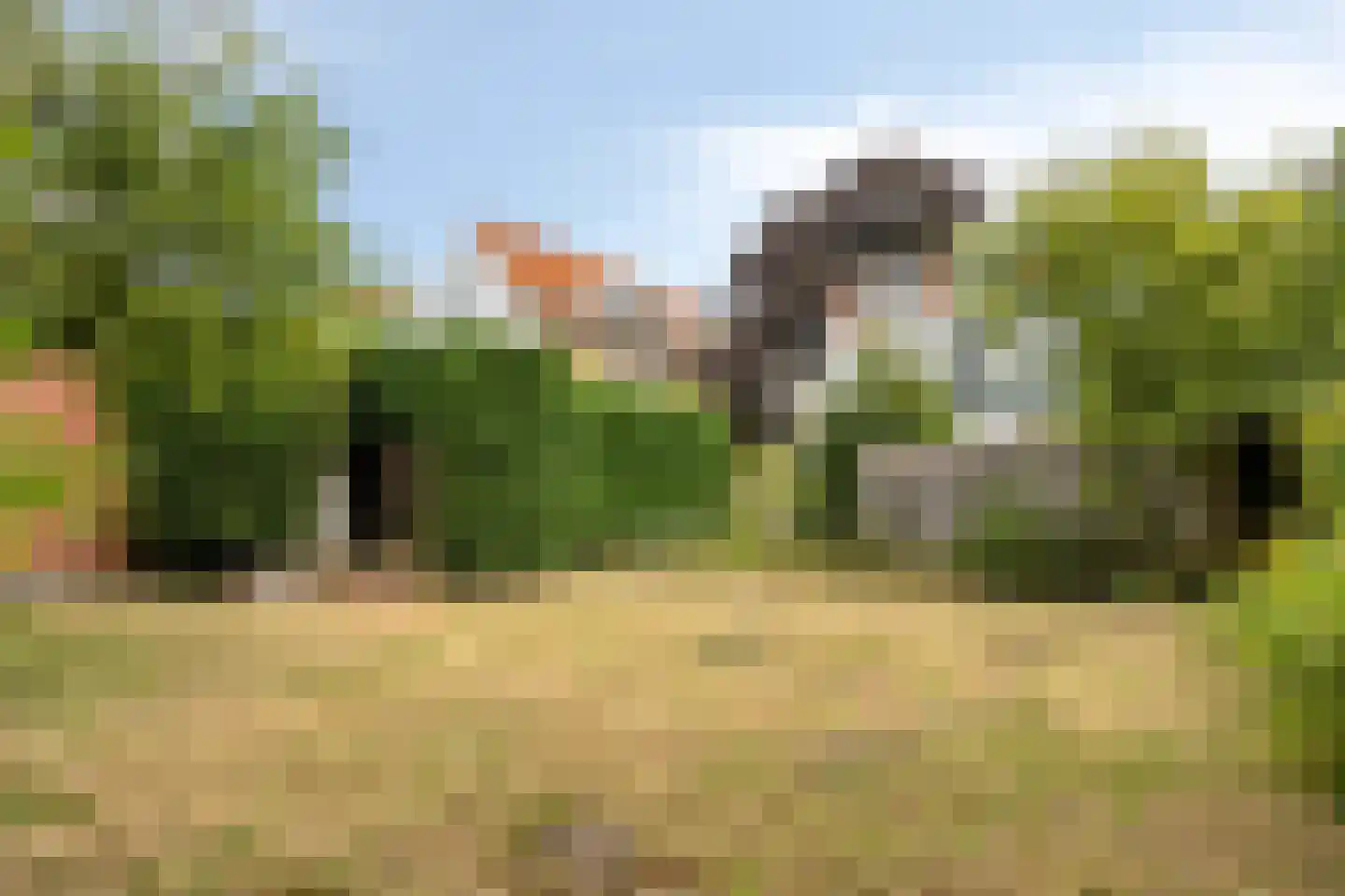 Rijnsburgerweg 138 Leiden thumbnail 53